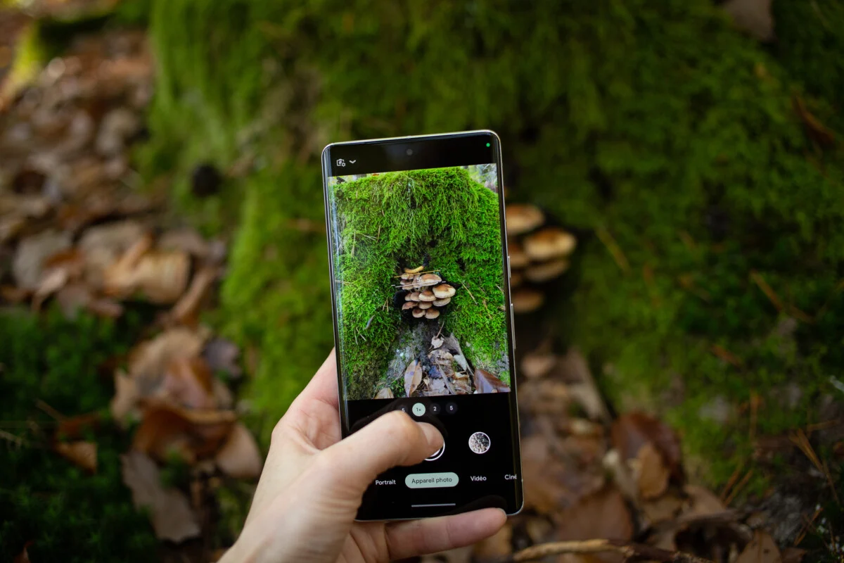 The photo interface of the Google Pixel 7 pro. 